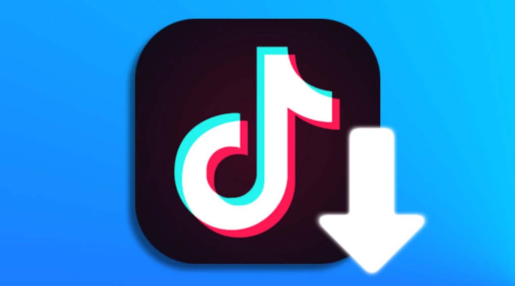 Easy Tiktok Video Downloader: Download Videos In Seconds